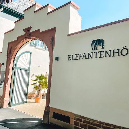 Apartment In Den Elefantenhoefen 沃尔姆斯 外观 照片